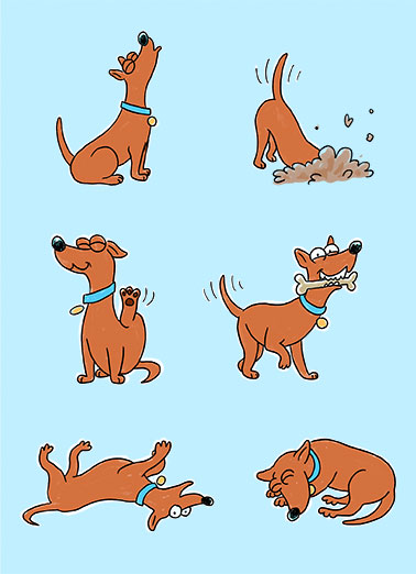 Favorite Things Dog Funny Dogs   A funny birthday card of a dog doing a bunch of his favorite things. | happy birthday dog dig howl scratch bone roll over sleep nap favorite things collar mans best friend Hope you get to do all your favorite things on your Birthday!